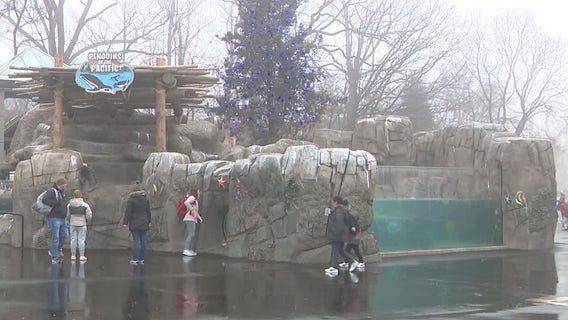 Milwaukee County Zoo 'Frosty Free Week' underway; when to go