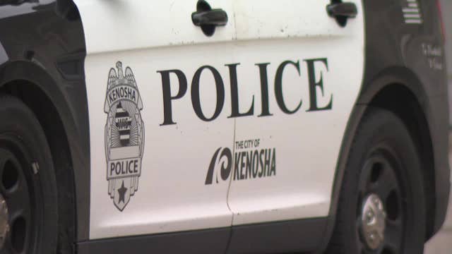 Kenosha dog attack incident; escaped from home, multiple people injured