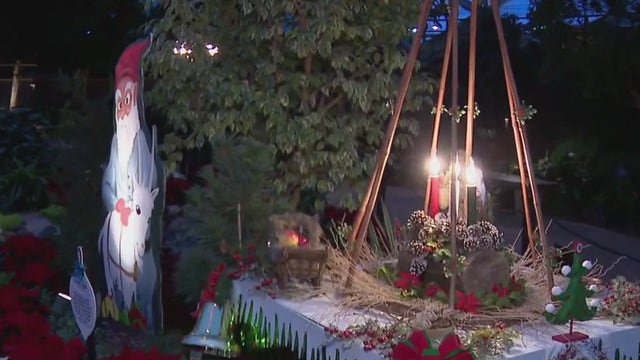 Milwaukee's Mitchell Park Domes transformed for winter