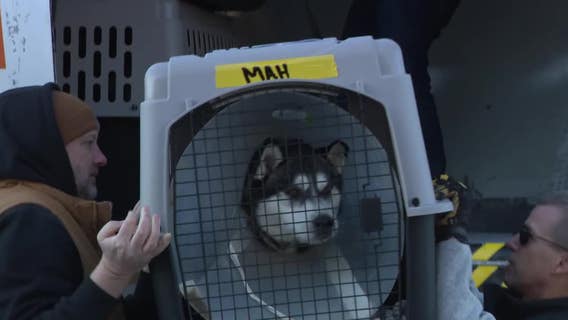 California fires; displaced shelter dogs relocated to Waukesha