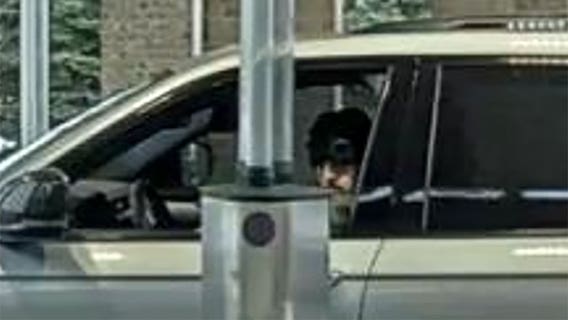 Caledonia check fraud; police seek person who cashed stolen check