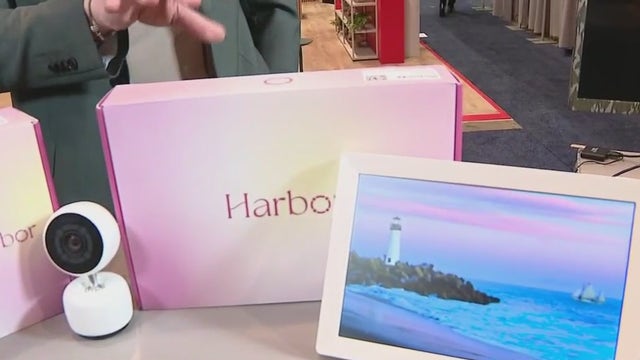 2025 Consumer Electronics Show; preview of new products