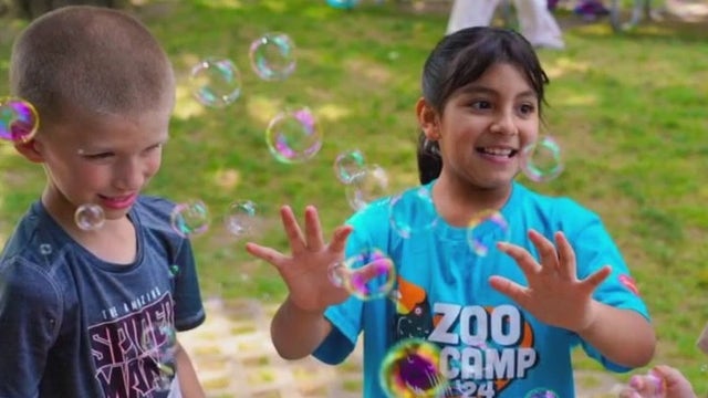 Milwaukee County Zoo summer camp registration