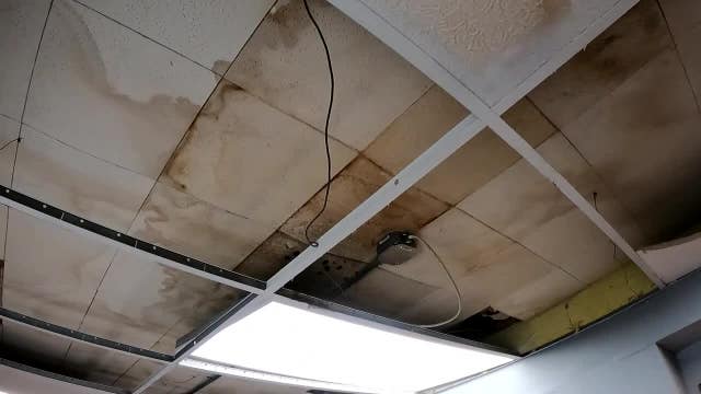 Milwaukee dog rescue challenges; operators seek new building