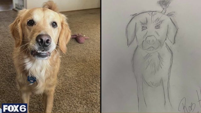 Wisconsin Humane Society's 'Poorly Drawn Pets' fundraiser is back