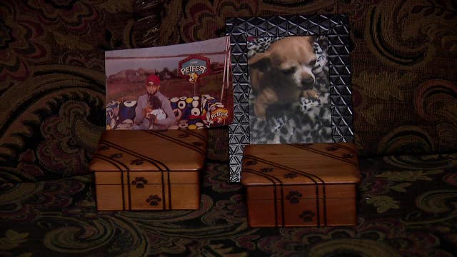 Milwaukee man's 2 dogs killed in different, recent attacks