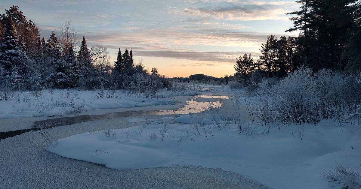 Wisconsin State Parks free day pass; check out at your library