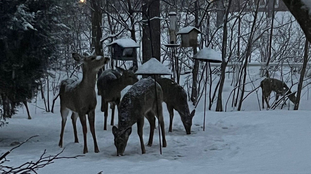 Wisconsin Braces for Heavy Snow as Winter Storm Sweeps Through