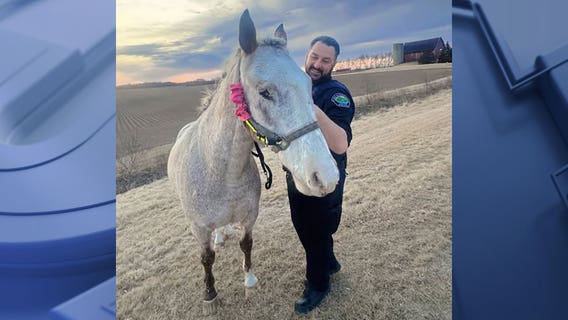 Runaway horse wrangled by Wisconsin police officer