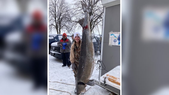 Sturgeon spearing opens, Winnebago system's fourth-largest ever