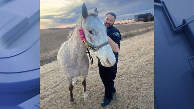 Runaway horse wrangled by Wisconsin police officer