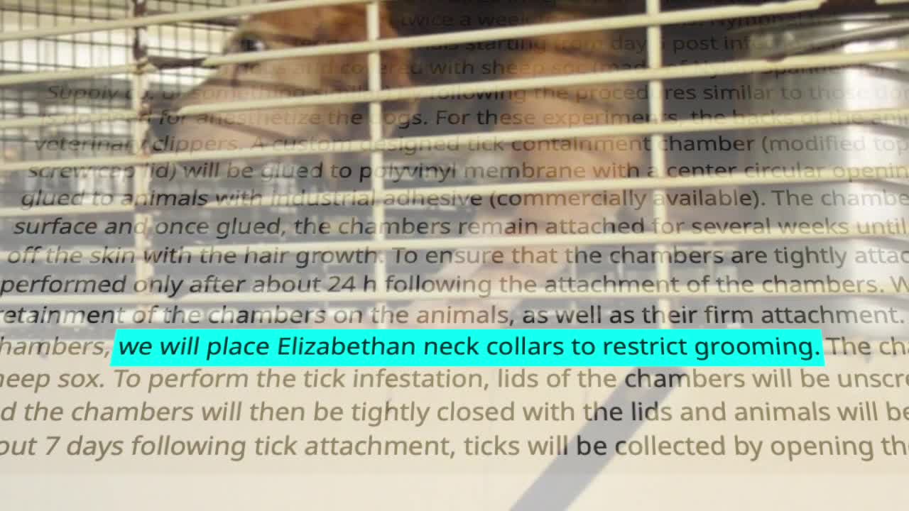 article preview
