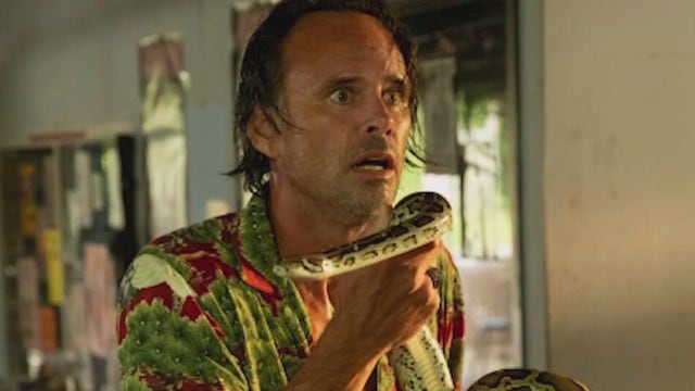 Walton Goggins gets bitten by a snake on the set of White Lotus