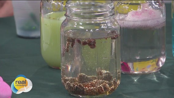 Easy spring experiments for the family