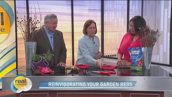 Reinvigorating your garden beds