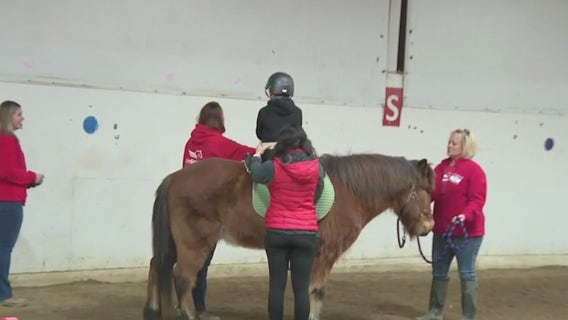 LifeStriders provides life-enhancing, physical, psychological experiences