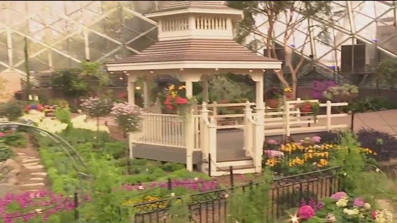 Tea and Tulips spring floral show at the Mitchell Park Domes