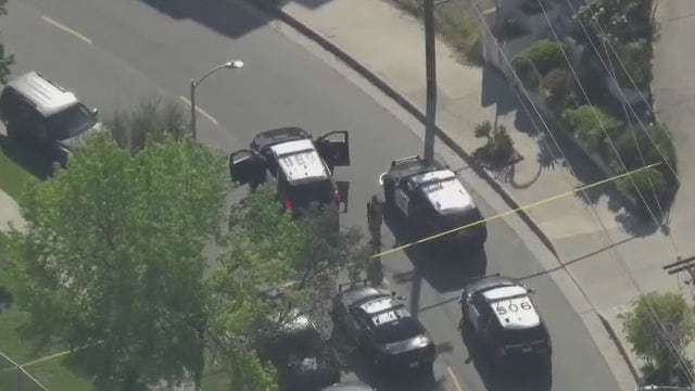 Wife of Weezer's bassist shot during confrontation with police