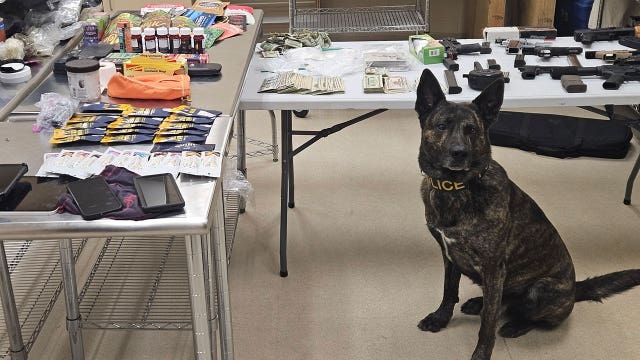 Oak Creek police drug bust; guns, marijuana seized, suspect arrested