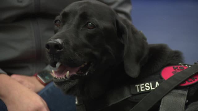 Lake Country K-9 dies; scholarship to increase therapy dog programs