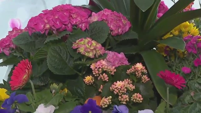 Art in Bloom: Milwaukee Art Museum’s celebration of spring, April 3-6