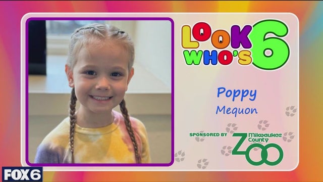 Look who's 6 on April 29, 2025