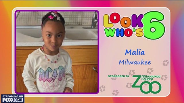 Look who's 6 on April 8, 2025