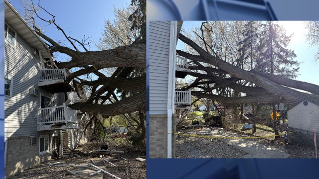 Tree falls on Fort Atkinson apartment complex; extensive structural damage
