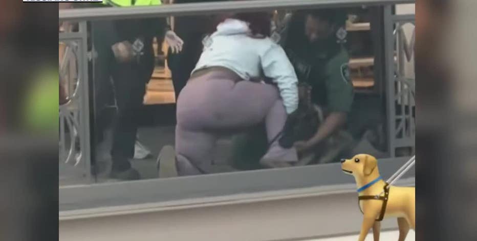 Security dog bites woman at Mayfair Mall, police describe fight