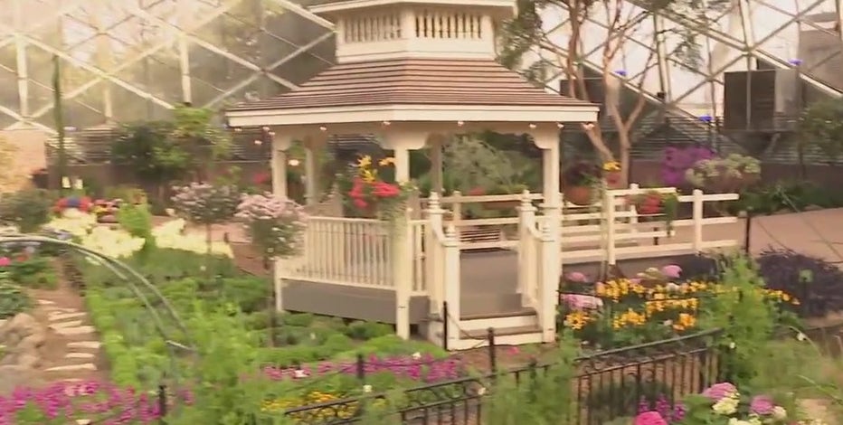 Tea and Tulips spring floral show at the Mitchell Park Domes