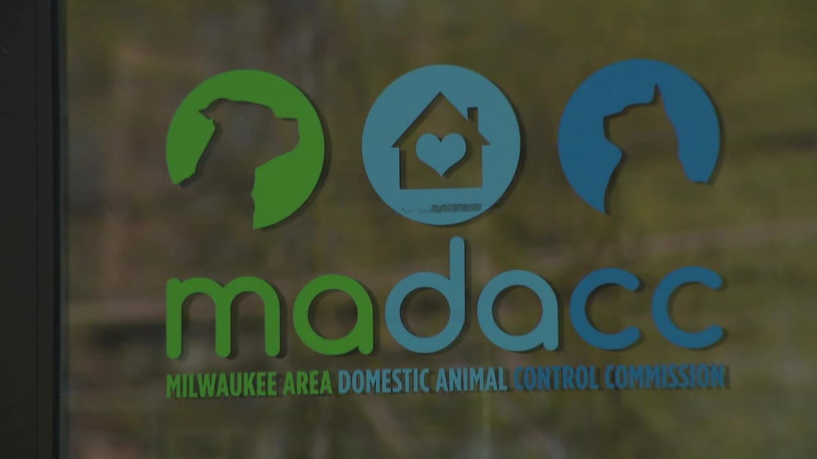 MADACC shelter at capacity; 116 animals ready for adoption