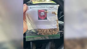 White supremacy flyers in southeast Wisconsin; police pick up hundreds