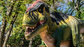 Milwaukee County Zoo's summer exhibit 'Exploration Dinosaur' now open