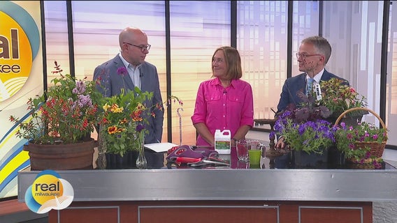 National Pollinator Month; Tips to attract hummingbirds