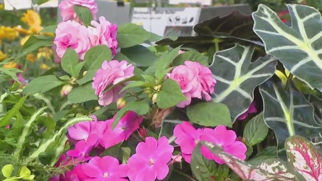 Milaeger’s in Racine; see what they have in store for Mother’s Day