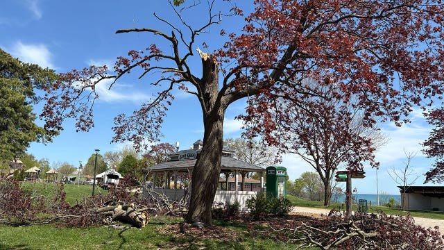 Racine Zoo storm damage, closed Friday as crews clear debris