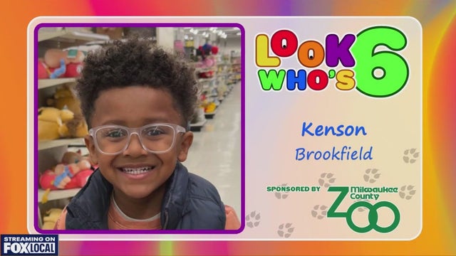 Look who's 6 on May 4, 2025