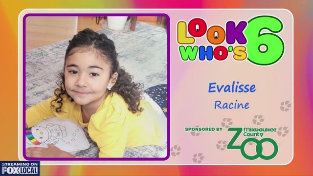 Look who's 6 on May 18, 2025