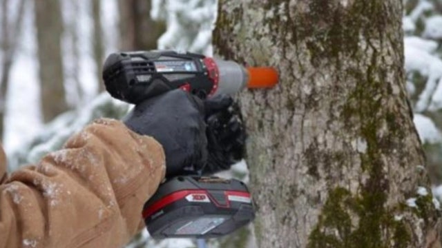 Making maple syrup; Wisconsin tapper explains how it's done