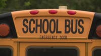 Mukwonago parent brought firearm onto school bus, district says
