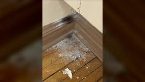 MPS lead crisis; school district fined for mishandling remediation