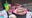 Strawberry Festival in Cedarburg; preview of family-friendly event