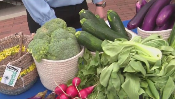 Summer activities in Oak Creek: farmers market, beer gardens and more