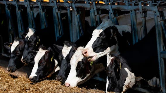 WI farmer sues Trump administration; claims discrimination against white farmers