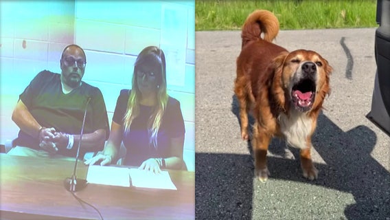 Dodge County town board chairman accused of hanging, killing dog