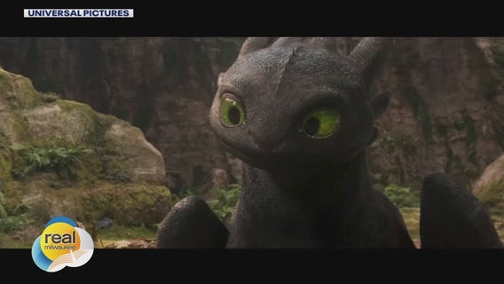 'How to Train Your Dragon'; Gino at the Movies