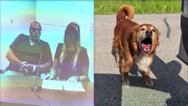 Dodge County town board chairman accused of hanging, killing dog