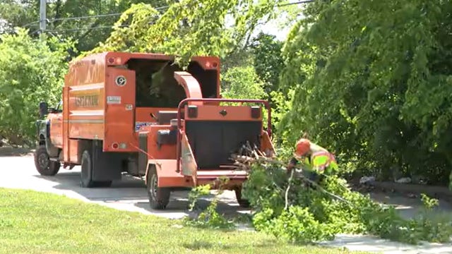 We Energies' tree trimming, summer storm preparation effort underway