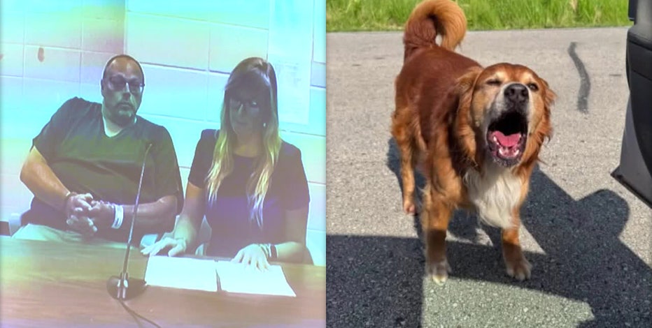 Dodge County town board chairman accused of hanging, killing dog