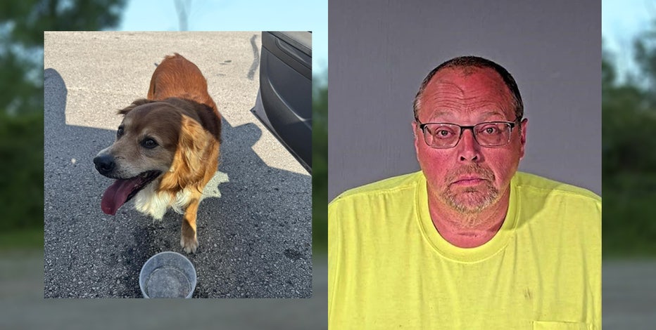 Dodge County dog death; town board chairman arrested